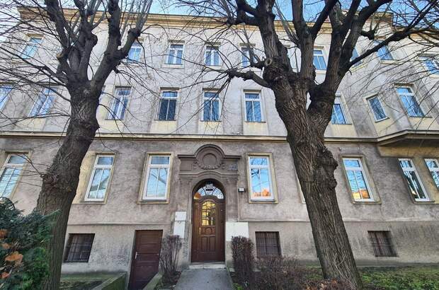 Altbauwohnung kaufen in 1130 Wien (Bild 1)