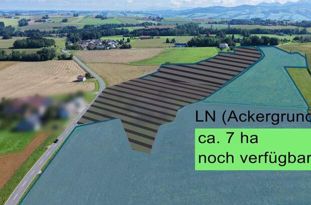 Gewerbeobjekt kaufen in 4643 Pratsdorf (Bild 1)