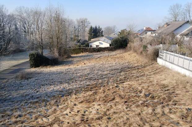 Grundstück kaufen in 4073 Wilhering (Bild 1)