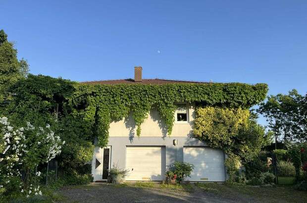 Gewerbeobjekt kaufen in 2214 Sladki Vrh (Bild 2)