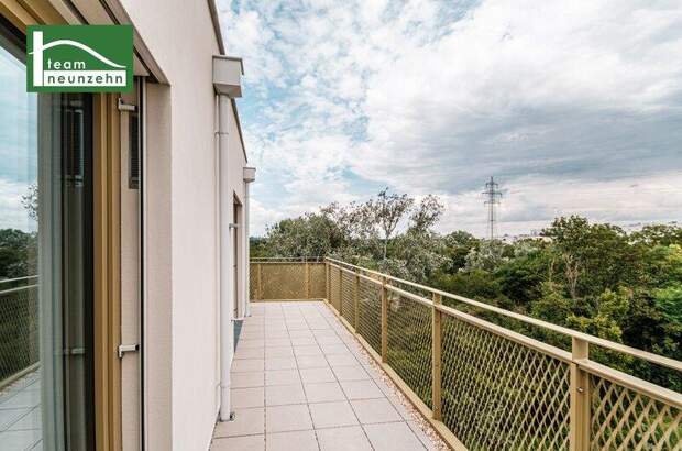 Terrassenwohnung kaufen in 1210 Wien (Bild 3)