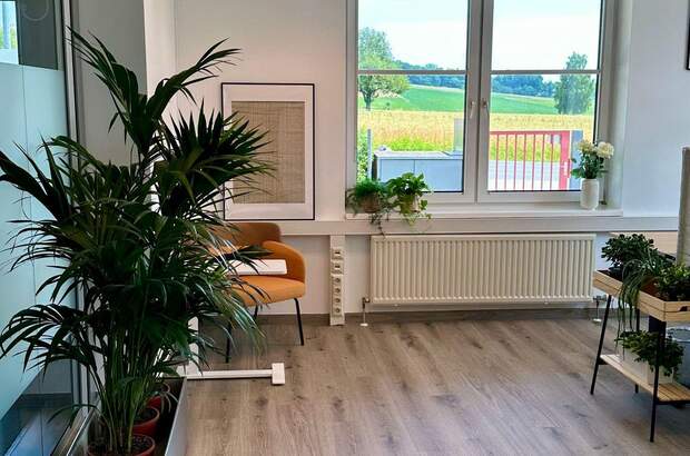 Gewerbeobjekt mieten in 4210 Gallneukirchen (Bild 1)