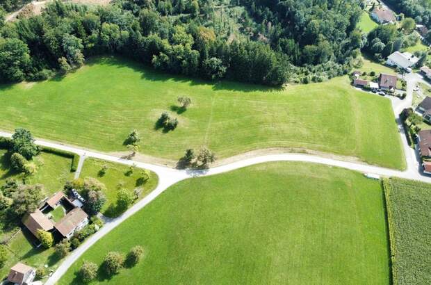 Grundstück kaufen in 4785 Freinberg (Bild 2)