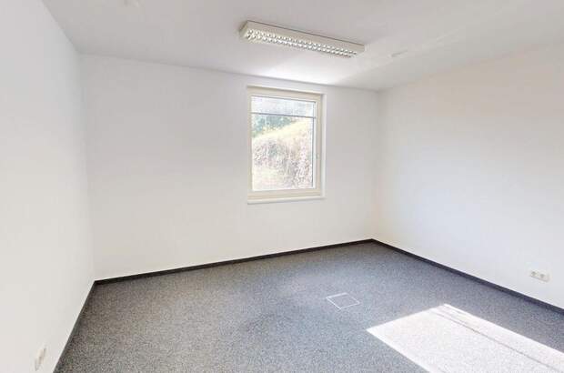 Gewerbeobjekt mieten in 8054 Graz (Bild 3)