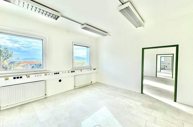 Gewerbeobjekt mieten in 2334 Vösendorf (Bild 2)