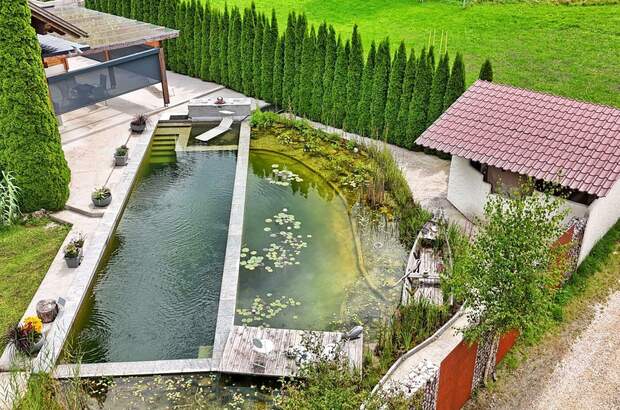 Haus mit Garten kaufen in 4564 Klaus (Bild 3)