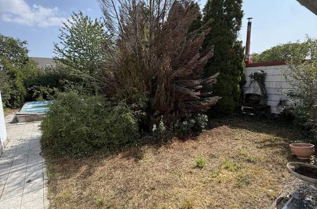 Einfamilienhaus kaufen in 2752 Wöllersdorf (Bild 5)