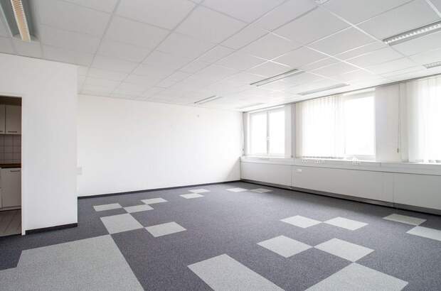 Gewerbeobjekt mieten in 4600 Thalheim (Bild 1)