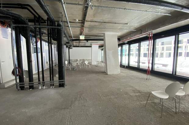 Gewerbeobjekt mieten in 1220 Wien (Bild 4)