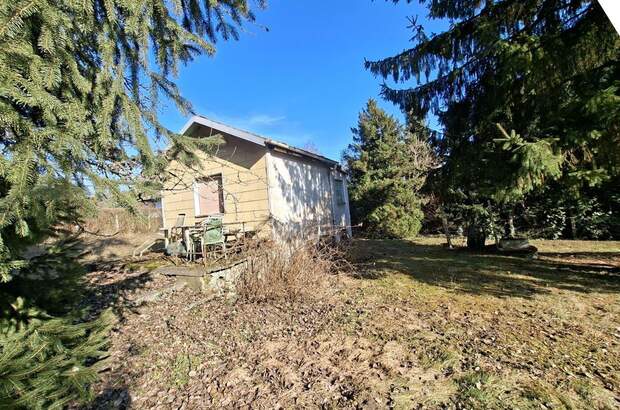 Gewerbeobjekt kaufen in 4060 Leonding (Bild 5)