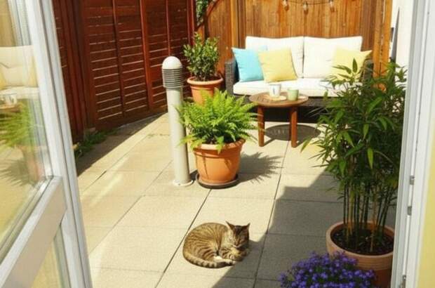 Wohnung mieten in 4293 Gutau (Bild 1)