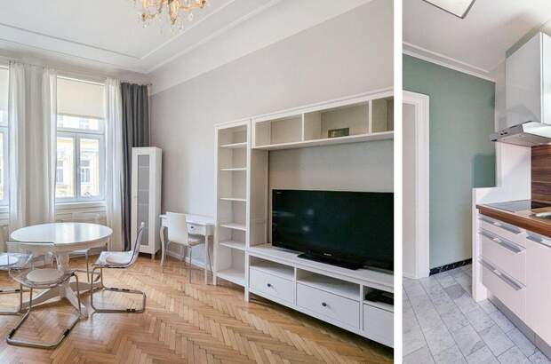 Altbauwohnung kaufen in 1050 Wien (Bild 1)