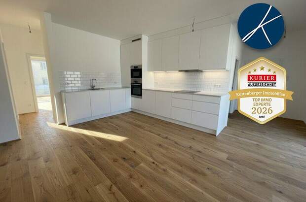 Terrassenwohnung mieten in 1100 Wien (Bild 1)