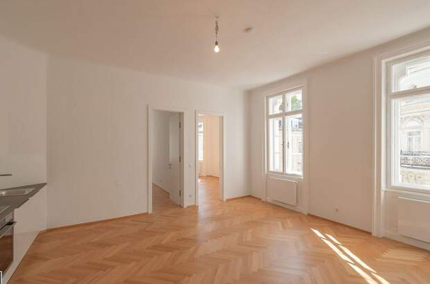 Altbauwohnung mieten in 1010 Wien (Bild 3)