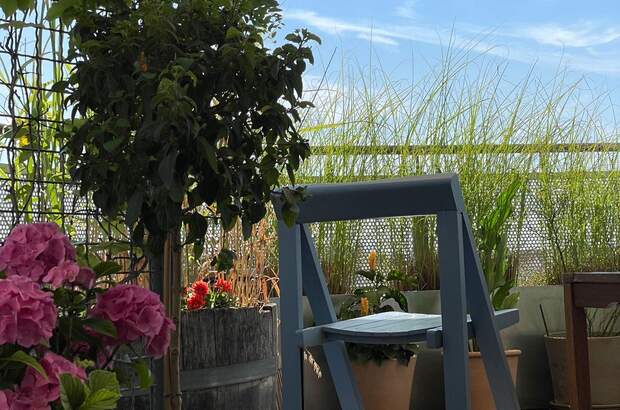 Altbauwohnung kaufen in 1140 Wien (Bild 3)