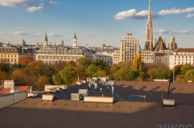 Terrassenwohnung kaufen in 1030 Wien (Bild 1)
