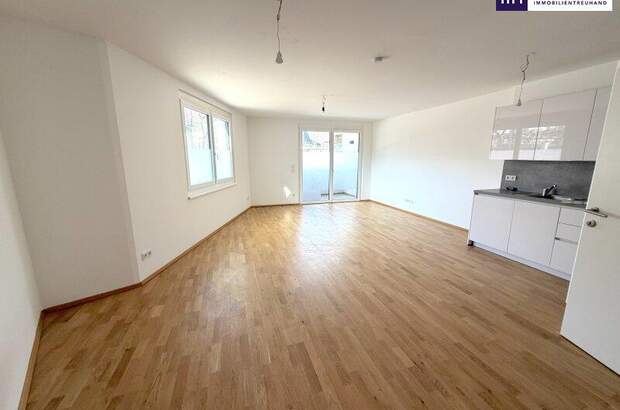 Terrassenwohnung kaufen in 1220 Wien (Bild 1)