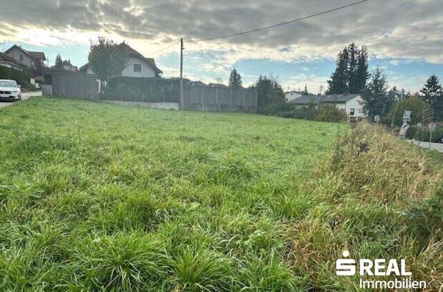 Grundstück kaufen in 4073 Wilhering (Bild 5)