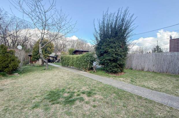 Haus mit Garten mieten in 1020 Wien (Bild 3)