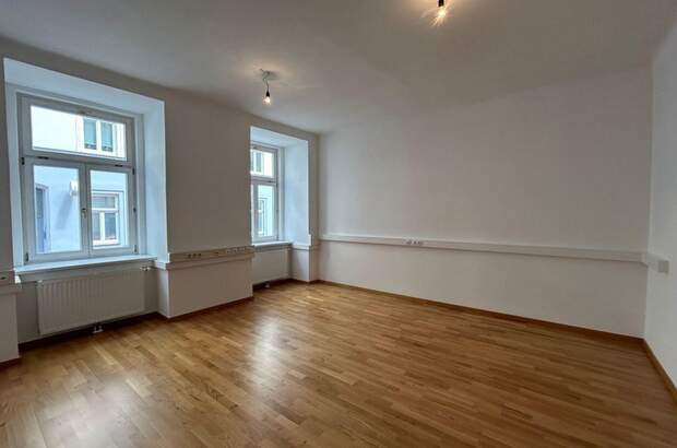 Gewerbeobjekt mieten in 1060 Wien (Bild 3)