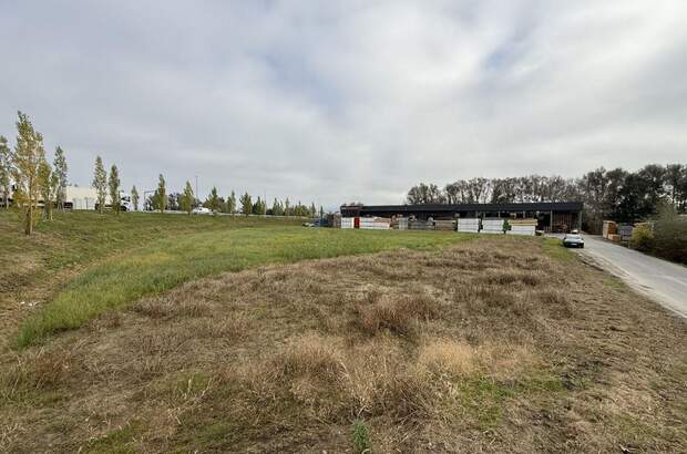 Gewerbeobjekt kaufen in 6971 Hard (Bild 2)