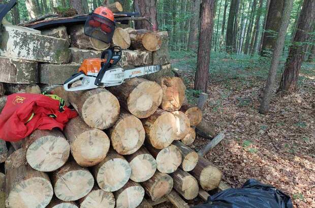 Gewerbeobjekt kaufen in 8282 Bad Loipersdorf (Bild 3)