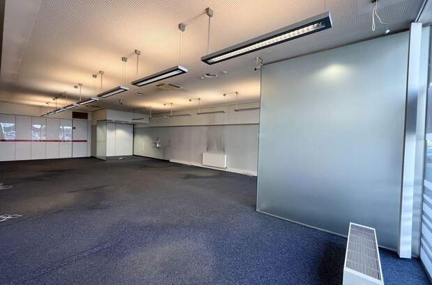 Gewerbeobjekt mieten in 1110 Wien (Bild 4)