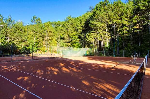 Grundstück kaufen in 2531 Gaaden (Bild 5)