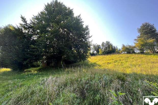 Grundstück kaufen in 4441 Behamberg (Bild 3)