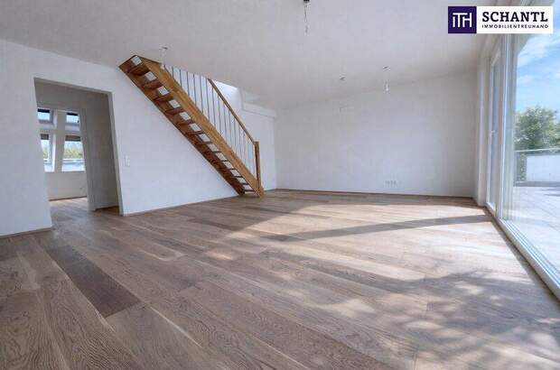 Terrassenwohnung kaufen in 2514 Traiskirchen (Bild 3)