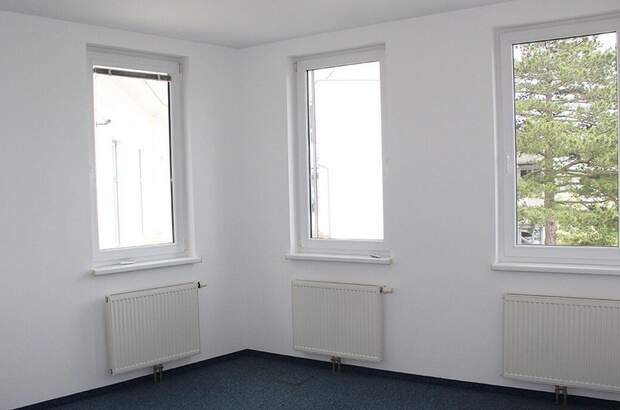 Gewerbeobjekt mieten in 2372 Gießhübl (Bild 5)