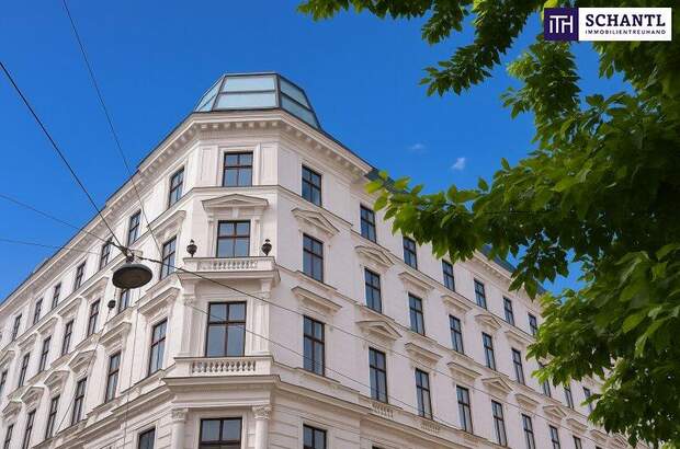 Terrassenwohnung kaufen in 1010 Wien (Bild 1)