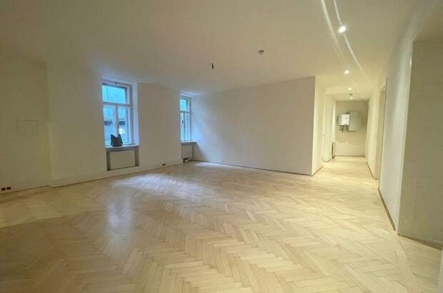 Gewerbeobjekt mieten in 1080 Wien (Bild 3)