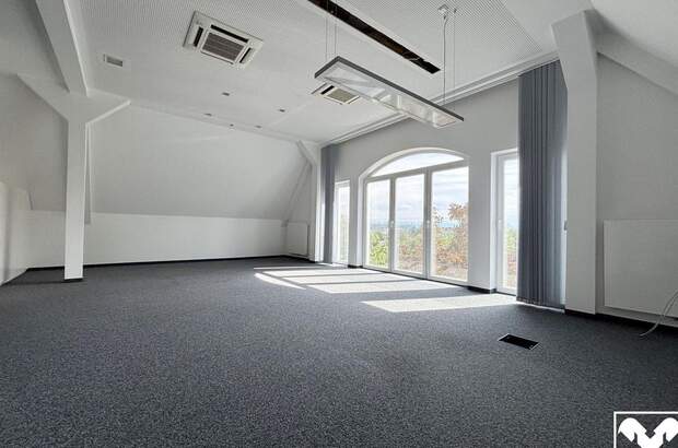 Gewerbeobjekt mieten in 4600 Wels (Bild 2)