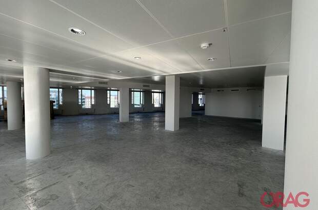 Gewerbeobjekt mieten in 1020 Wien (Bild 5)