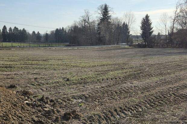 Grundstück kaufen in 8483 Deutsch Goritz (Bild 4)