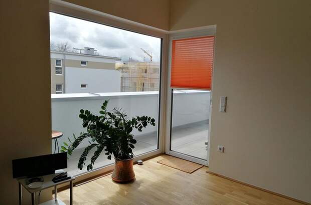 Terrassenwohnung mieten in 4910 Ried (Bild 4)