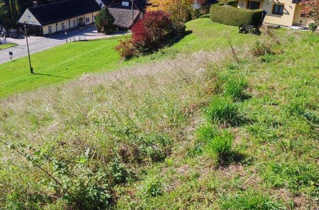 Grundstück kaufen in 9335 Lölling Sonnseite (Bild 2)