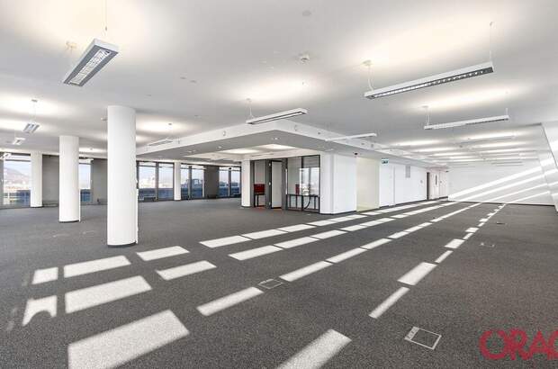 Gewerbeobjekt mieten in 1200 Wien (Bild 5)