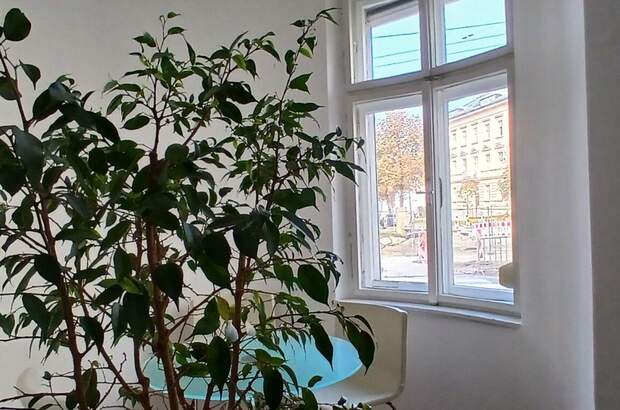 Gewerbeobjekt mieten in 5020 Salzburg (Bild 4)