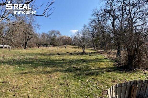 Haus kaufen in 7431 Bad Tatzmannsdorf (Bild 1)