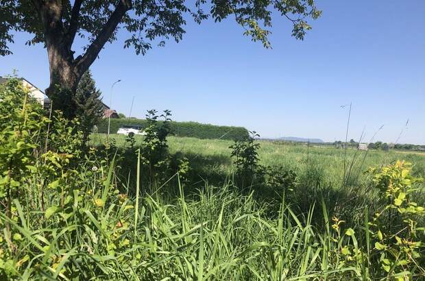 Grundstück kaufen in 8472 Obervogau (Bild 2)