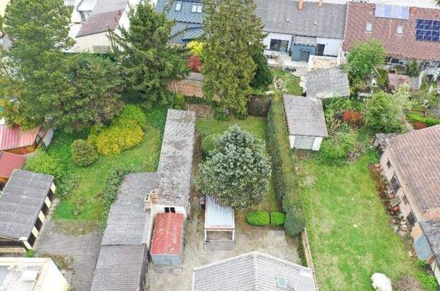 Haus kaufen in 2490 Ebenfurth (Bild 5)