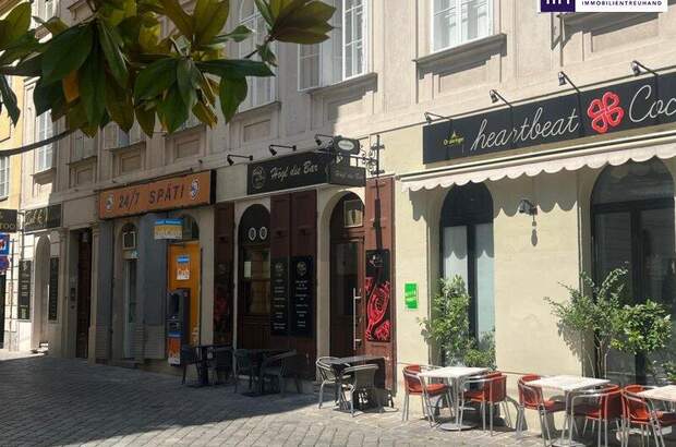 Einzelhandel mieten in 1010 Wien (Bild 1)