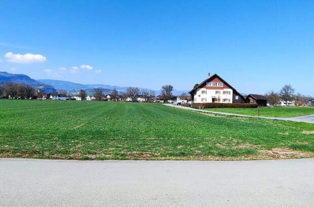 Haus mit Garten kaufen in 6812 Meiningen (Bild 2)