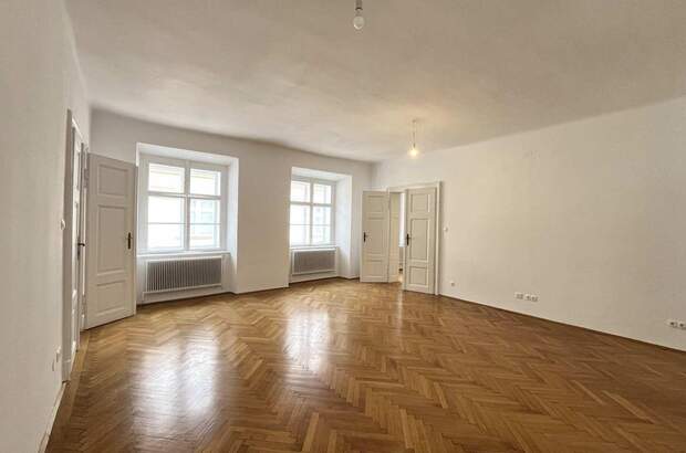 Altbauwohnung kaufen in 1010 Wien (Bild 1)