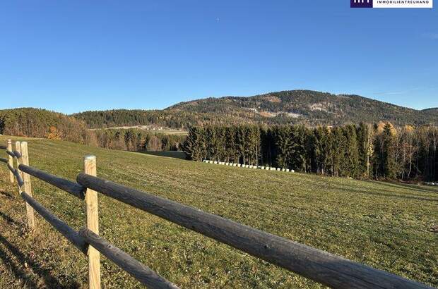 Grundstück kaufen in 8045 Weinitzen (Bild 5)