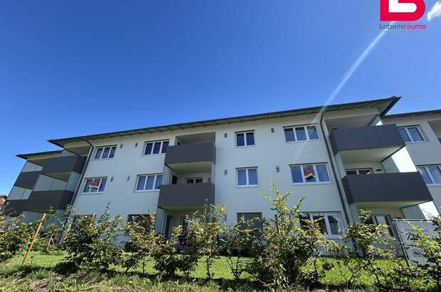 Wohnung kaufen in 4551 Ried (Bild 2)