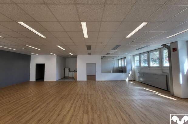 Gewerbeobjekt mieten in 4050 Traun (Bild 3)