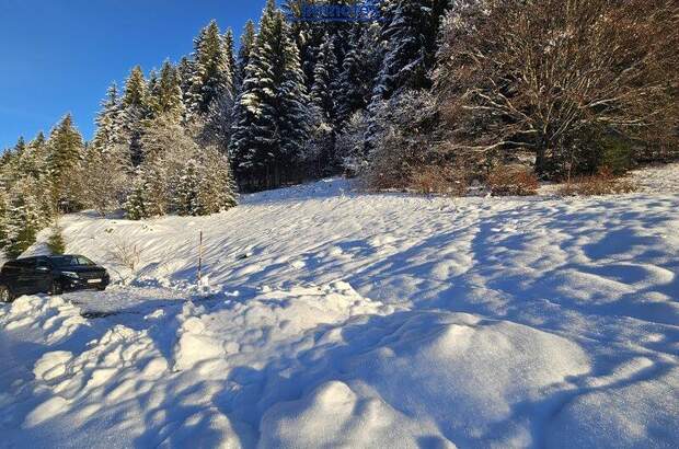 Grundstück kaufen in 6311 Oberau (Bild 3)